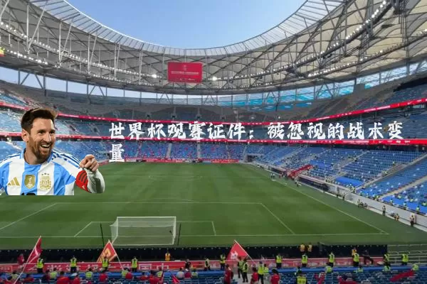 世界杯观赛证件：被忽视的战术变量